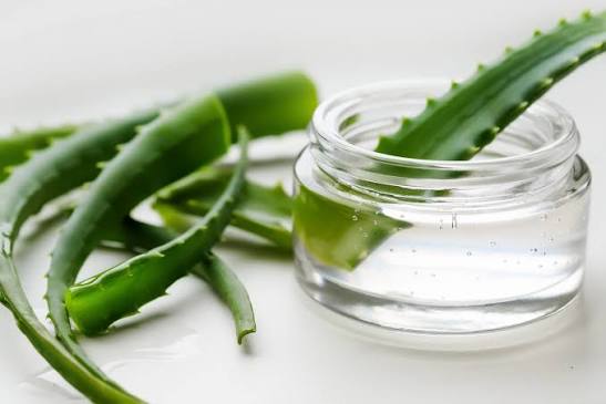 Gel de Aloe Vera Ecológico – Hidratação e Regeneração 99% Natural - Image 4